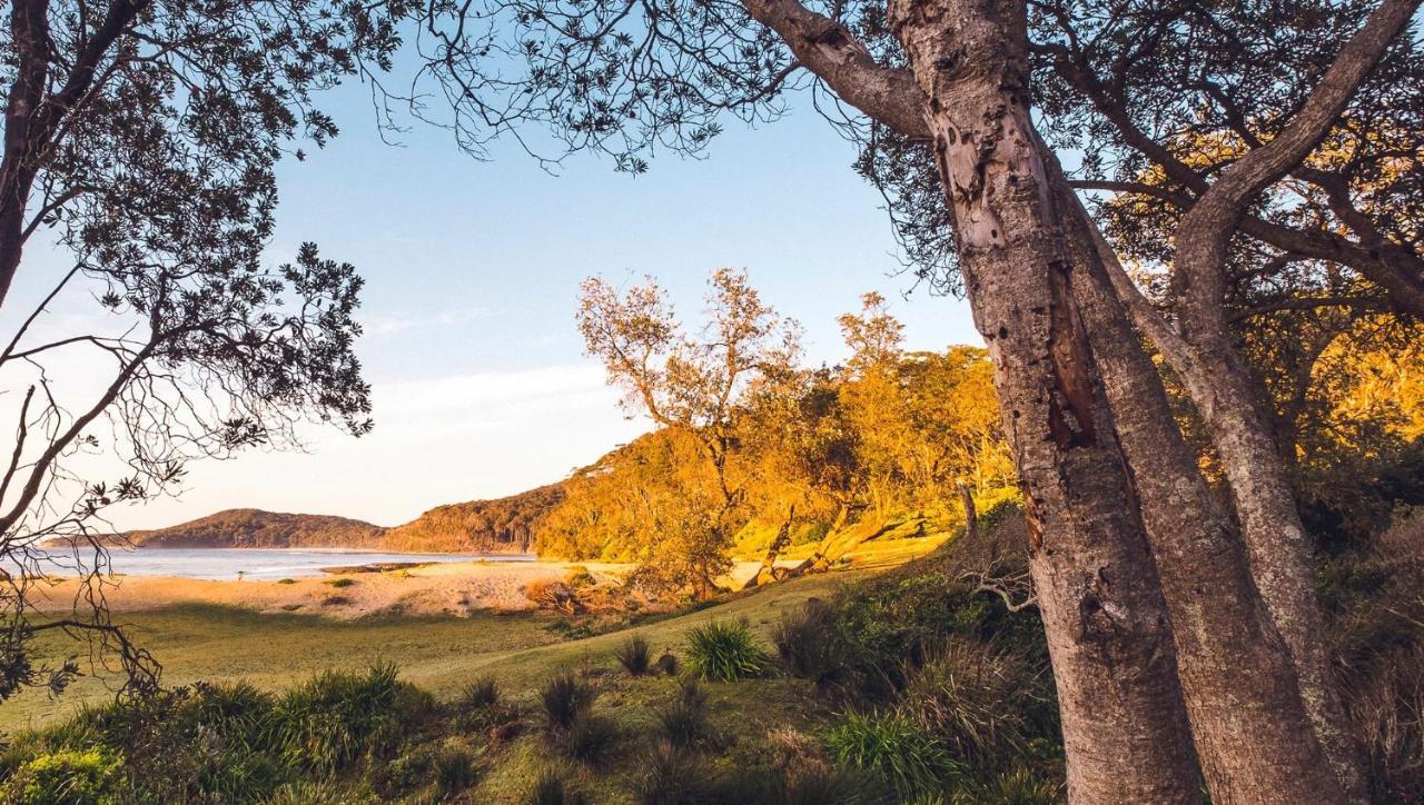 Pebbly Beach Escape East Lynne Luaran gambar