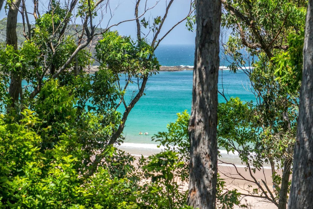 Pebbly Beach Escape East Lynne Luaran gambar